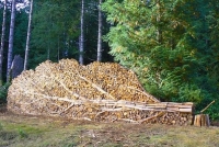 L-art-dempiler-le bois-de-chauffage-photo-©-KAB-www.goodstuffnw.com