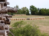 biocombustibles-agricoles-et-forestiers-photo-©-frederic-douard-www.bioenergie.promotion.fr