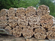 bois-de-chauffage-au-sortir-de-la-foret-www.jenni-holz.ch-www.bioenergie-promotion.fr