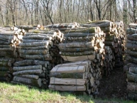 bois-de-chauffage-debarde-en-ballots-photo-©-frederic-douard-www.bioenergie.promotion.fr