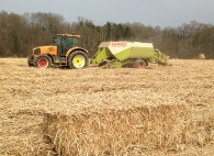 bottelage-de-miscanthus-broye-en-semi-longueurs-photo-frederic-douard-www-bioenergie-promotion-fr