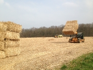 chantier-de-bottelage-de-miscanthus-photo-frederic-douard-www-bioenergie-promotion-fr