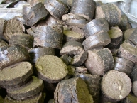 briquettes-industrielles-bresil-photo-©-frederic-douard-www.bioenergie.promotion.fr