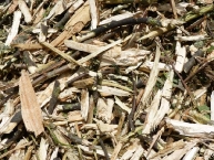 broyat-de-dechets-verts-apres-tamisage-et-pret-a-lemploi-comme-combustible-photo-frederic-douard-www.bioenergie-promotion.fr