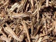 broyat-de-souches-darbres-photo-frederic-douard-www.bioenergie-promotion.fr