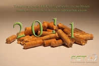 carte-de-voeux-2011-france-granules-technologies