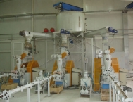 chaine-de-production-de-briquettes-a-trois-presses-photo-di-piu-www.bioenergie-promotion.fr