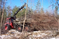 debardage-de-perches-entieres-pour-le-bois-energie-en-finlande-www.bioenergie-promotion.fr