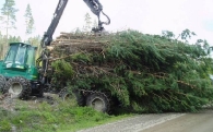 debardage-porte-de-perches-resineuses-entieres-pour-lenergie-www.bioenergie-promotion.fr