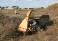 debroussaillage-avec-recuperation-de-la-biomasse-photo-©-xavier-douard-www.bioenergie.promotion.fr