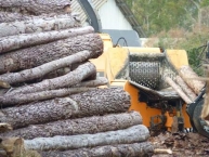 en-corse-le-bois-energie-permet-de-valoriser-les-bois-declasses-et-incendies-photo-©-frederic-douard-www.bioenergie.promotion.fr