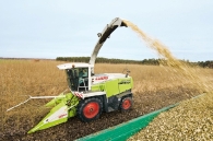 ensilage-de-taillis-a-tres-courtes-rotations-photo-claas-www.bioenergie-promotion.fr