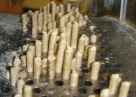 filiere-de-presse-a-granuler-photo-propellets-autriche-www.bioenergie-promotion.fr