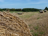 la-paille-inutilisee-peut-etre-valorisee-comme-biocombustible-en-balles-ou-en-granules-photo-frederic-douard-www.bioenergie-promotion.fr