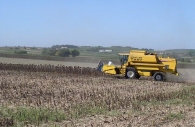 La-recolte-du-tournesol-peut-fournir-en-plus-huile-et-du-tourteau-coques-et-paille-combustibles-photo-Cetiom-www.bioenergie-promotion.fr