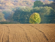 lautomne-en-europe-apres-les-labours-les-semailles-photo-©-frederic-douard-www.bioenergie.promotion.fr