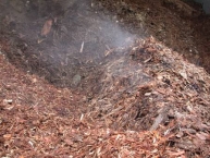 les-biomasses-broyees-fraiches-et-abritees-perdent-de-leur-humidite-par-echauffement-naturel-photo-©-frederic-douard-www.bioenergie.promotion.fr