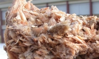 les-plaquettes-forestieres-humides-peuvent-geler-et-causer-des-dysfonctionnements-en-chaufferies-photo-frederic-douard-www.bioenergie-promotion.fr