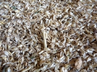 les-restes-de-criblage-des-cereales-sont-utilises-pour-la-fabrication-de-granules-photo-f-douard-www.bioenergie-promotion.fr