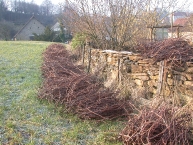 les-sarments-de-vigne-secs-constituent-un-excellent-allume-feu-photo-frederic-douard-www.bioenergie-promotion.fr