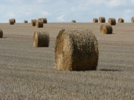 paille-de-cereale-france-photo-©-frederic-douard-www.bioenergie.promotion.fr