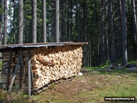 pile-de-bois-de-chauffage-couverte-en-scandinavie-photo-www-nordicforestery-org-www-bioenergie-promotion-fr