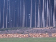 pile-de-bois-de-chauffage-en-autriche-photo-©-frederic-douard-www.bioenergie.promotion.fr