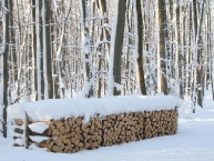 pile-de-bois-de-chauffage-sous-le-neige-photo-wetterzentrale-forum-www-bioenergie-promotion-fr