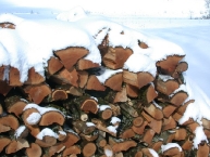 pile-de-bois-de-chauffage-sous-la-neige-photo-©-frederic-douard-www.bioenergie.promotion.fr