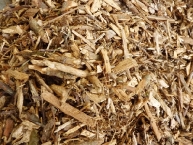 plaquette-bocagere-photo-atelier-avesnois-thierache-www-bioenergie-promotion-fr