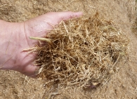 poignee-de-menue-paille-photo-frederic-douard-www.bioenergie-promotion.fr