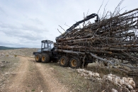 recolte-de-bois-incendie-pour-transformation-en-plaquettes-energie-photo-bioenergie-lozere-www.bioenergie-promotion.fr