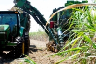 Recolte-de-canne-a-sucre-au-Bresil-photo-Shell-www.bioenergie-promotion.fr