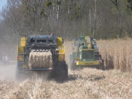 recolte-hivernale-de-miscanthus-par-fauchage-pressage-photo-frederic-douard-www.bioenergie-promotion.fr