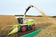 recolte-de-taillis-de-saules-a-tres-courtes-rotations-photo-fnr-server-de-www.bioenergie-promotion.fr
