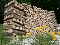 sechage-de-buches-sciees-vallorbe-photo-©-frederic-douard-www.bioenergie.promotion.fr