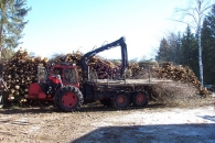 stockage-de-perches-entieres-pour-le-bois-energie-en-finlande-www.bioenergie-promotion.fr