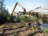 valorisation-de-bois-de-berges-avec-transport-du-bois-energie-par-voie-deau-photo-easy-bois-www.bioenergie-promotion.fr