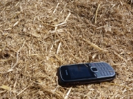 zoom-sur-de-la-menue-paille-photo-frederic-douard-www.bioenergie-promotion.fr