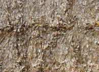 zoom-sur-une-balle-de-menue-paille-haute-densite-photo-frederic-douard-www.bioenergie-promotion.fr