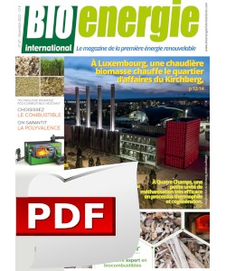 Numero 81 - PDF