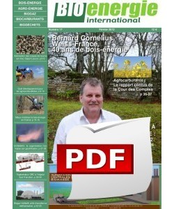 Numéro 17 - PDF Numéro 17 - PDF