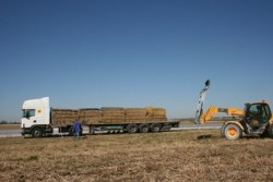Chargement des ballots en camion