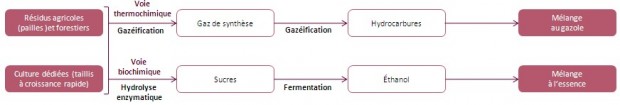 production-des-biocarburants-de-deuxieme-generation1.jpg