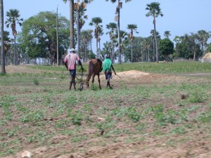 Agriculteurs sénégalais, photo Frédéric Douard