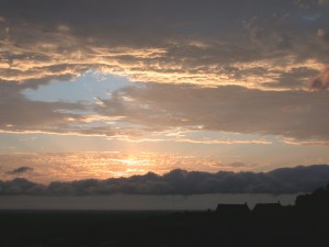 DSCN6696