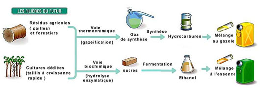 filieres-pour-la-production-de-biocarburants-de-deuxieme-generation_ifp