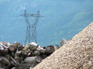 Les 14 lauréats de l’appel d’offres CRE 5-3 cogénération biomasse