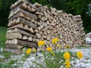 Le bois en bûches, première énergie renouvelable de France, photo Frédéric Douard