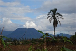 kilima